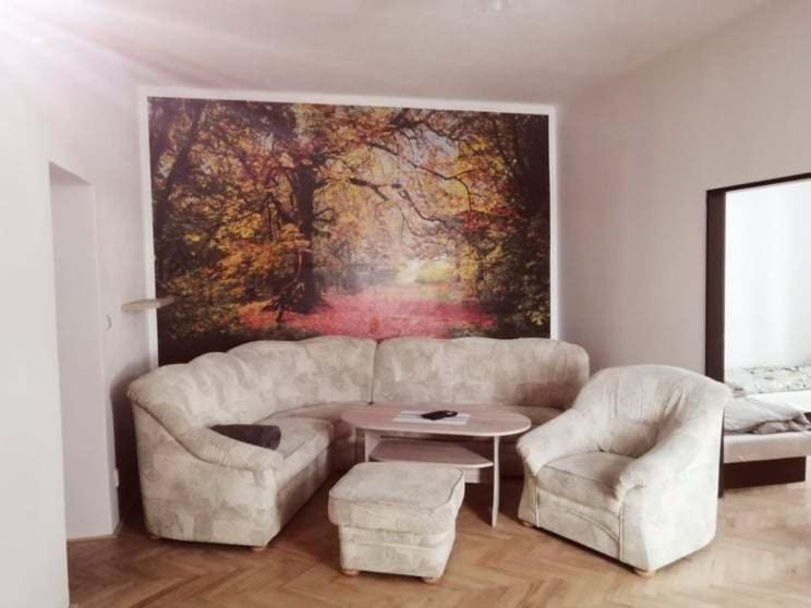 Penzion U Trojice Červená Voda Exteriör bild