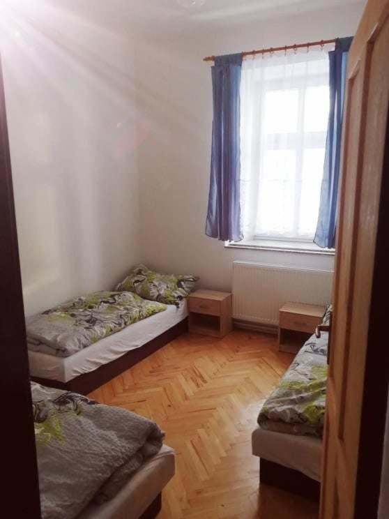 Penzion U Trojice Červená Voda Exteriör bild